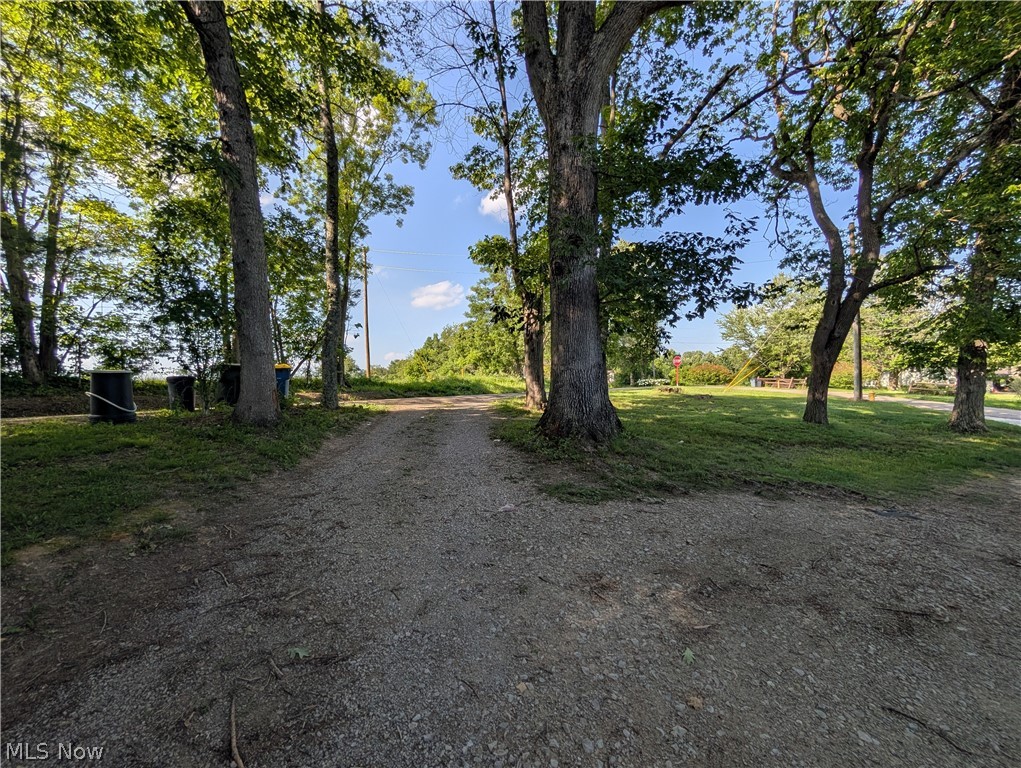 6700 McCaslin Road Nashport, OH 43830 - Photo 8 of 30 Gravel driveway flanked by mature trees and verdant lawns, offering expansive outdoor space