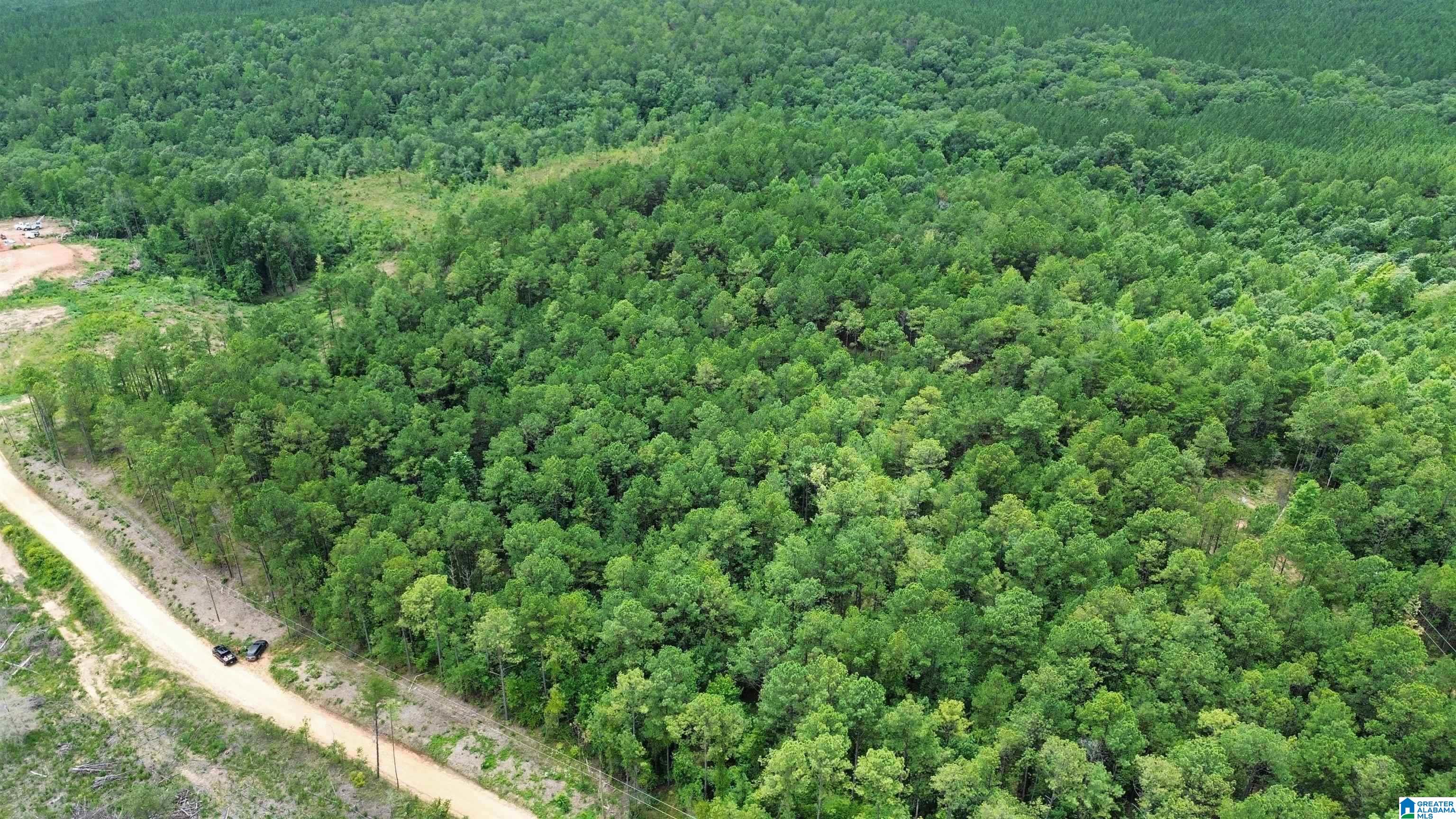204 County Road 485 Clanton, AL 35046 - Photo 5 of 5