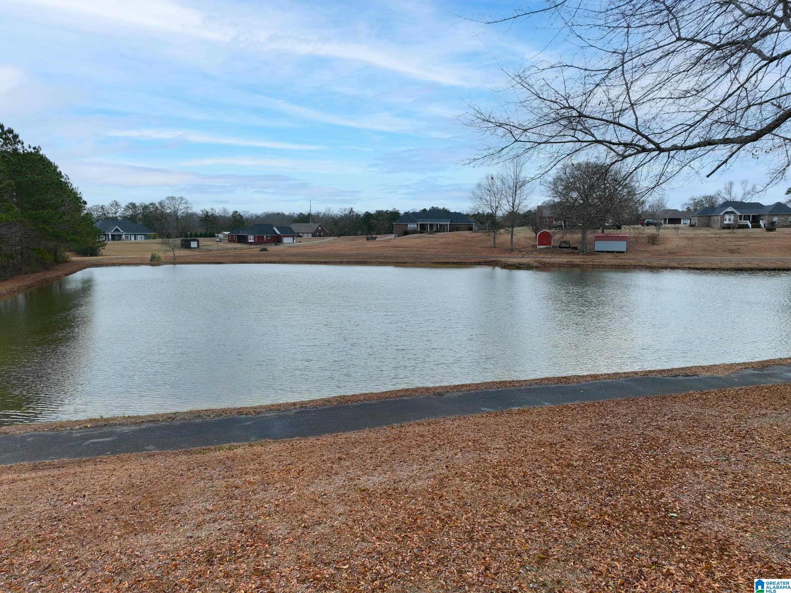 50 County Road 862 Clanton, AL 35045 - Photo 29 of 34