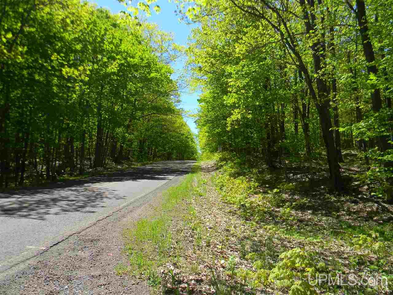 Tbd Rauhala Road, Unit LOT 4 COLES CREEK SUBDIV Atlantic Mine, MI 49931 - Photo 3 of 13