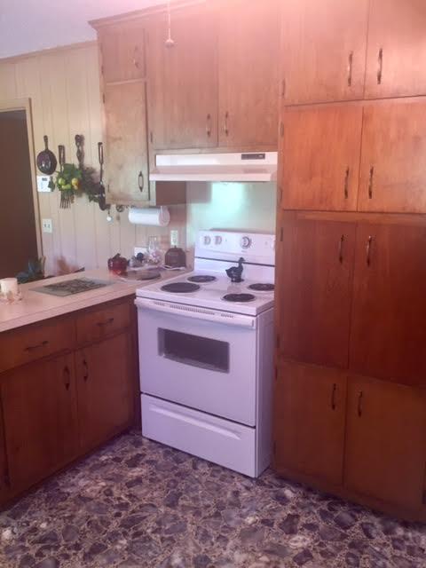 1807 Nelson Road Greenbrier, TN 37072 - Photo 9 of 14 Gallery Image 9