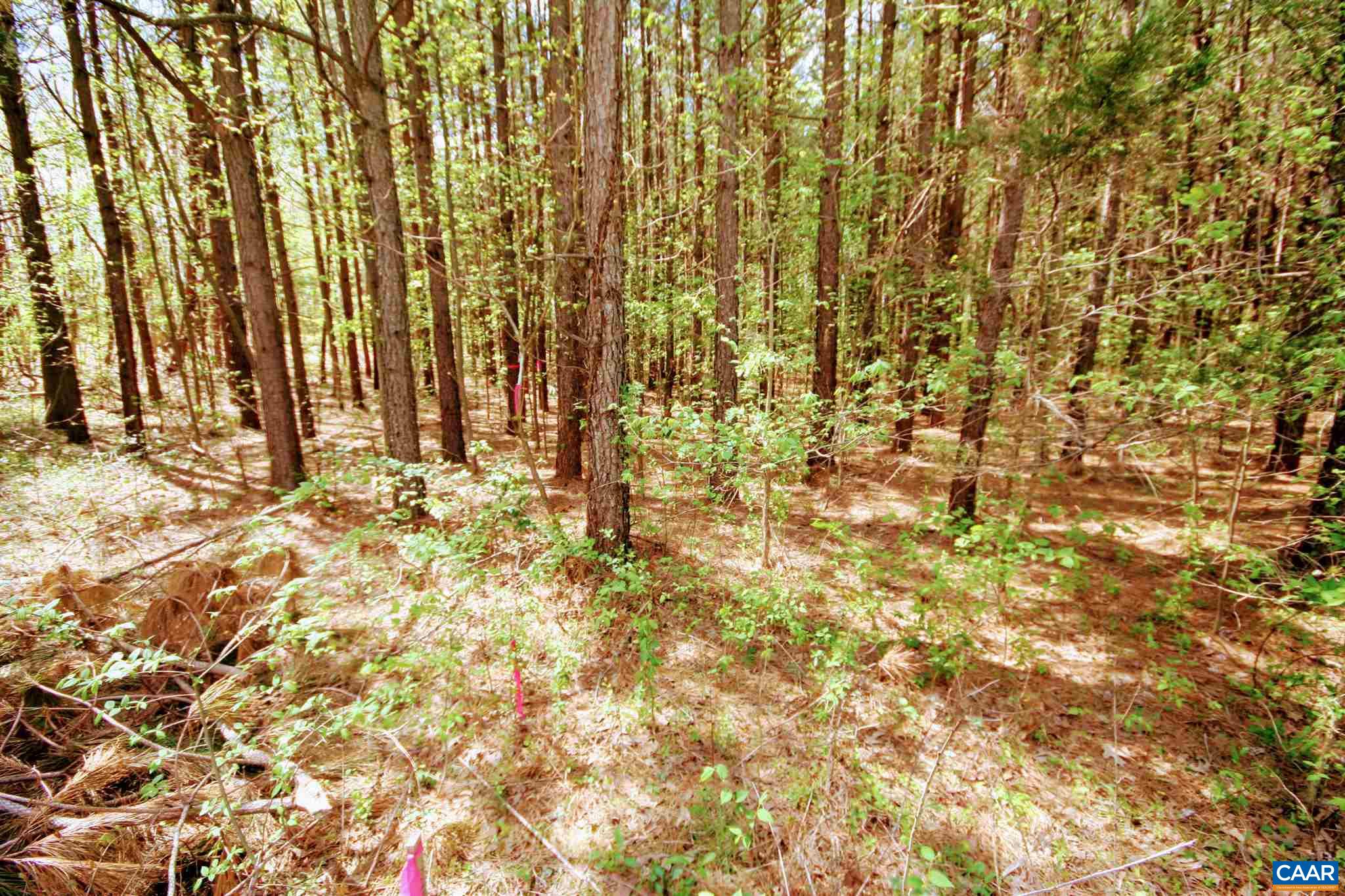 Tba Lot 2 Tba Road Orange, VA 22960 - Photo 8 of 23 Gallery Image 8