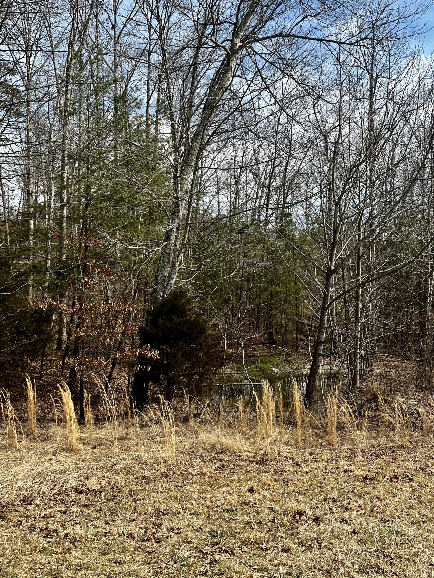 1208 Tar Kiln Road Brodhead, KY 40409 - Photo 11 of 12 42246431-C9A2-4636-B6E9-320DCB112370