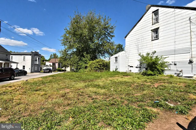 a view of a yard with plants and tree
