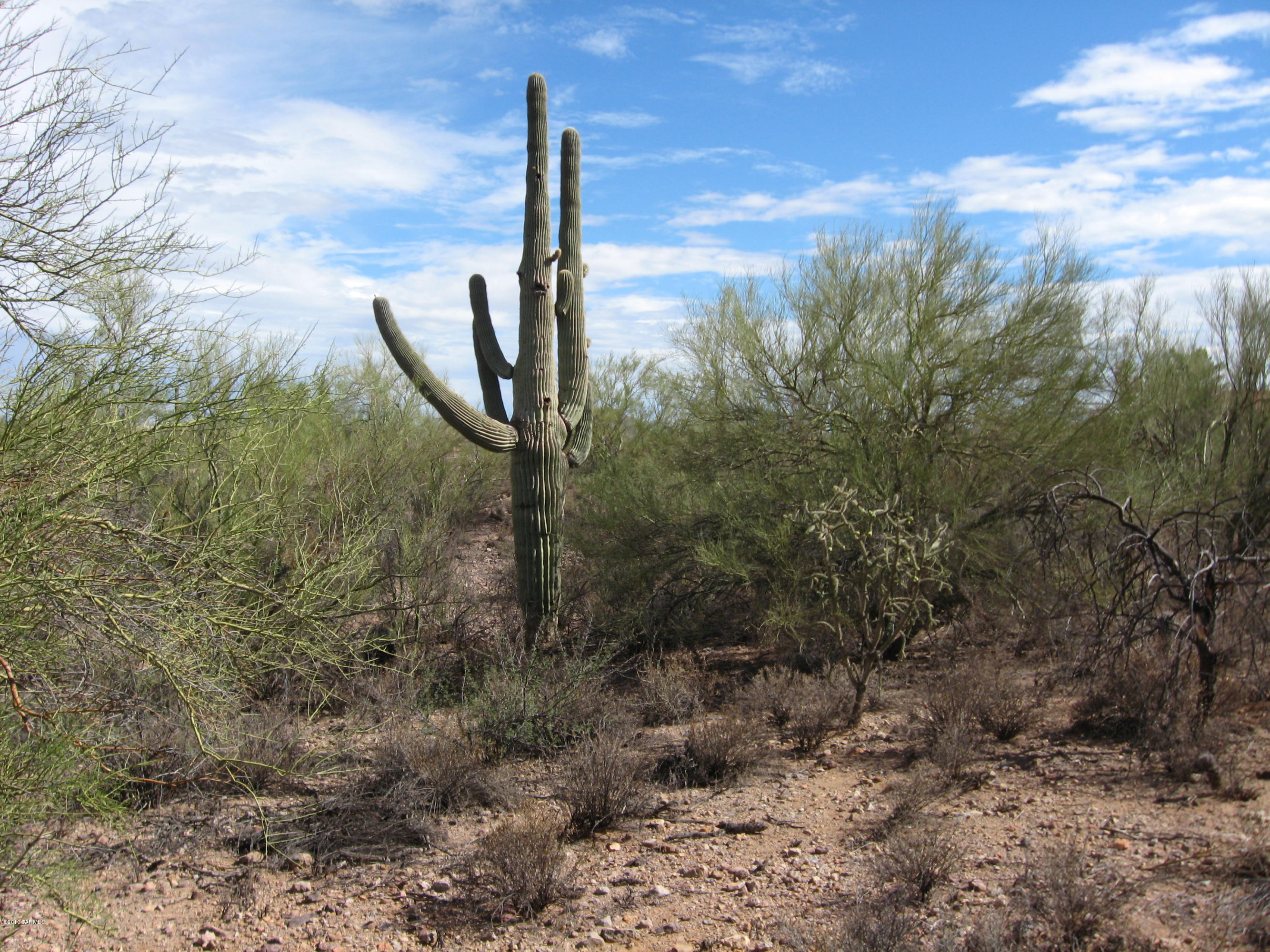 2981 West Goret Road Tucson, AZ 85745 - Photo 39 of 41 Gallery Image 39