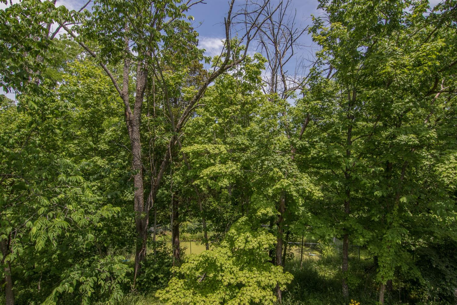 1480 Corinth Road Lawrenceburg, KY 40342 - Photo 27 of 35 Listing Photo