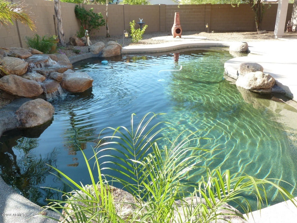 13651 West Calavar Road Surprise, AZ 85379 - Photo 1 of 29 Gorgeous relaxing pool