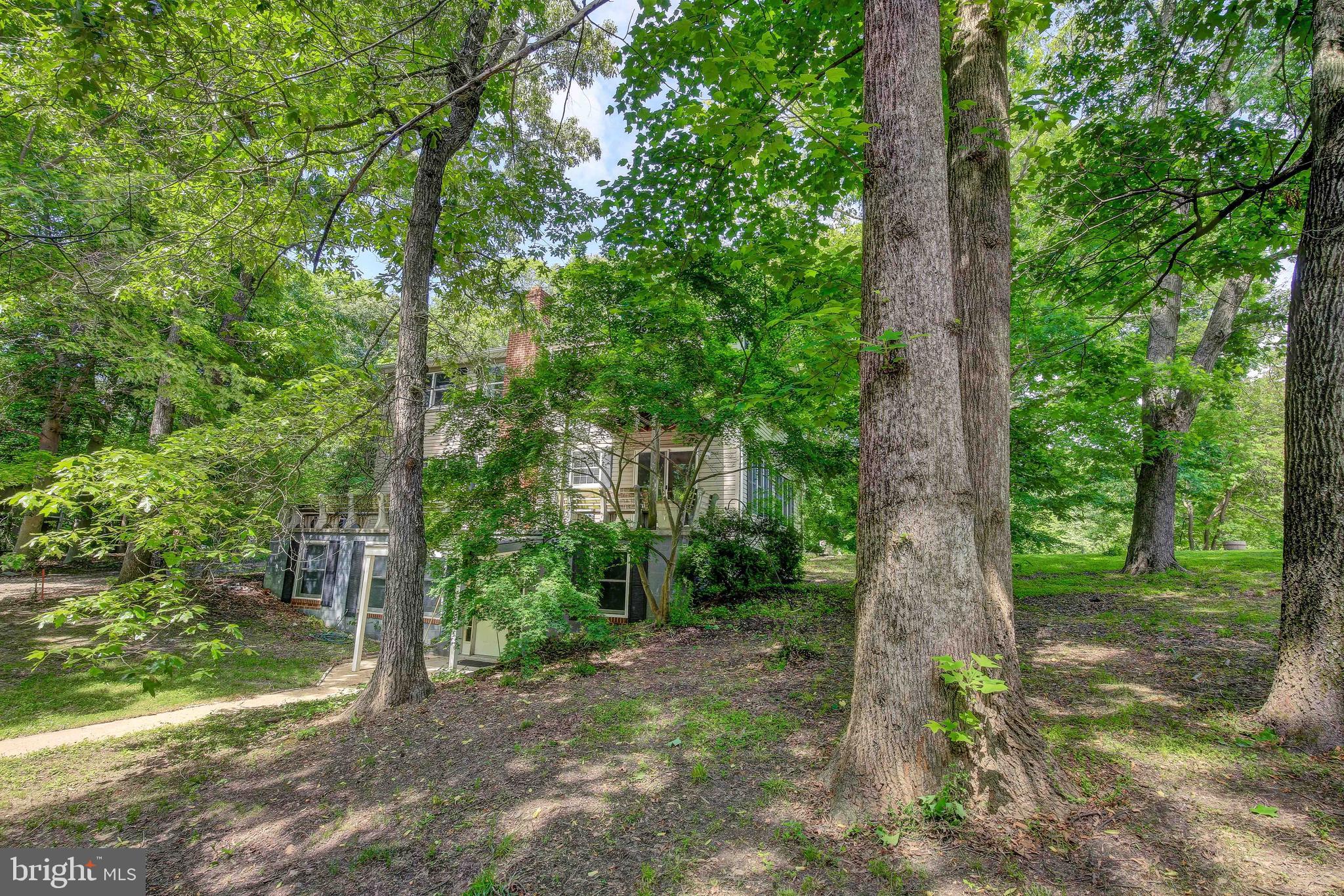 24888 Hill Road Hollywood, MD 20636 - Photo 54 of 71 Gallery Image 54