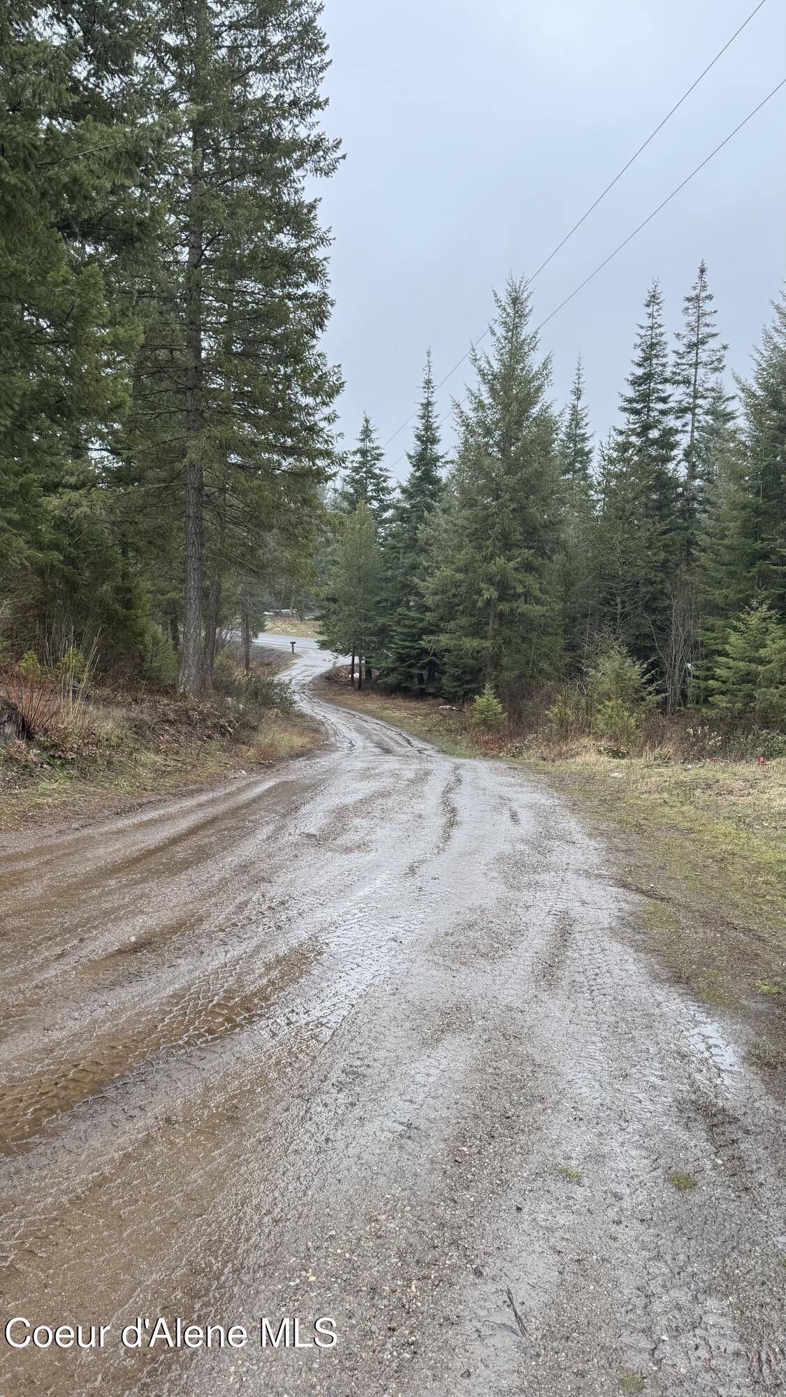 2269 East Chilco Road Athol, ID 83801 - Photo 12 of 25 Driveway