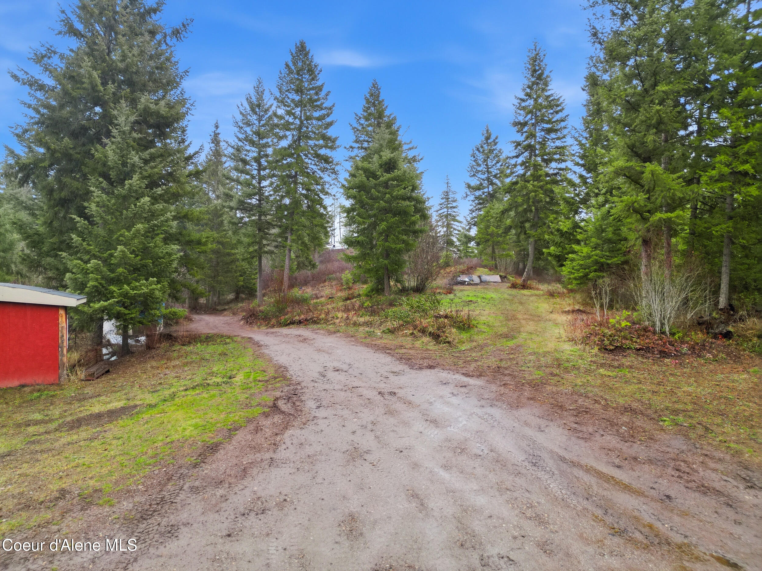 2269 East Chilco Road Athol, ID 83801 - Photo 9 of 25 Driveway