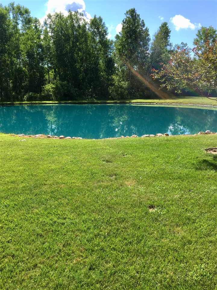 12600 Fordney Road Chesaning, MI 48616 - Photo 25 of 30 Gallery Image 25