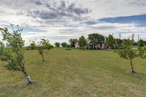 3036 Falcon Road Prosper, TX 75078 - Photo 18 of 20 Expansive green lawn with scattered young trees and a single-story residence in the background