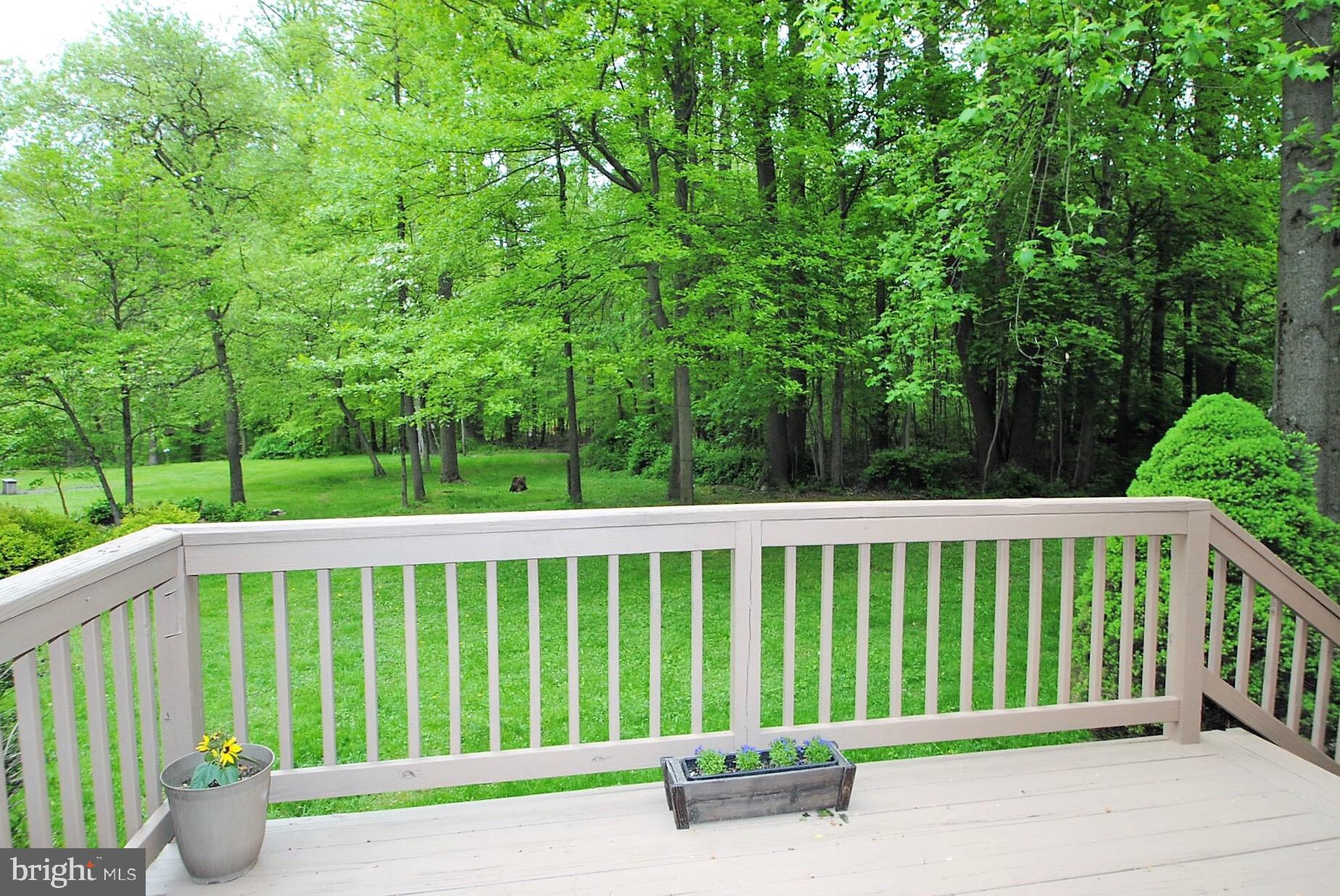 866 Warburton Road Elkton, MD 21921 - Photo 50 of 56 Stunning views from deck