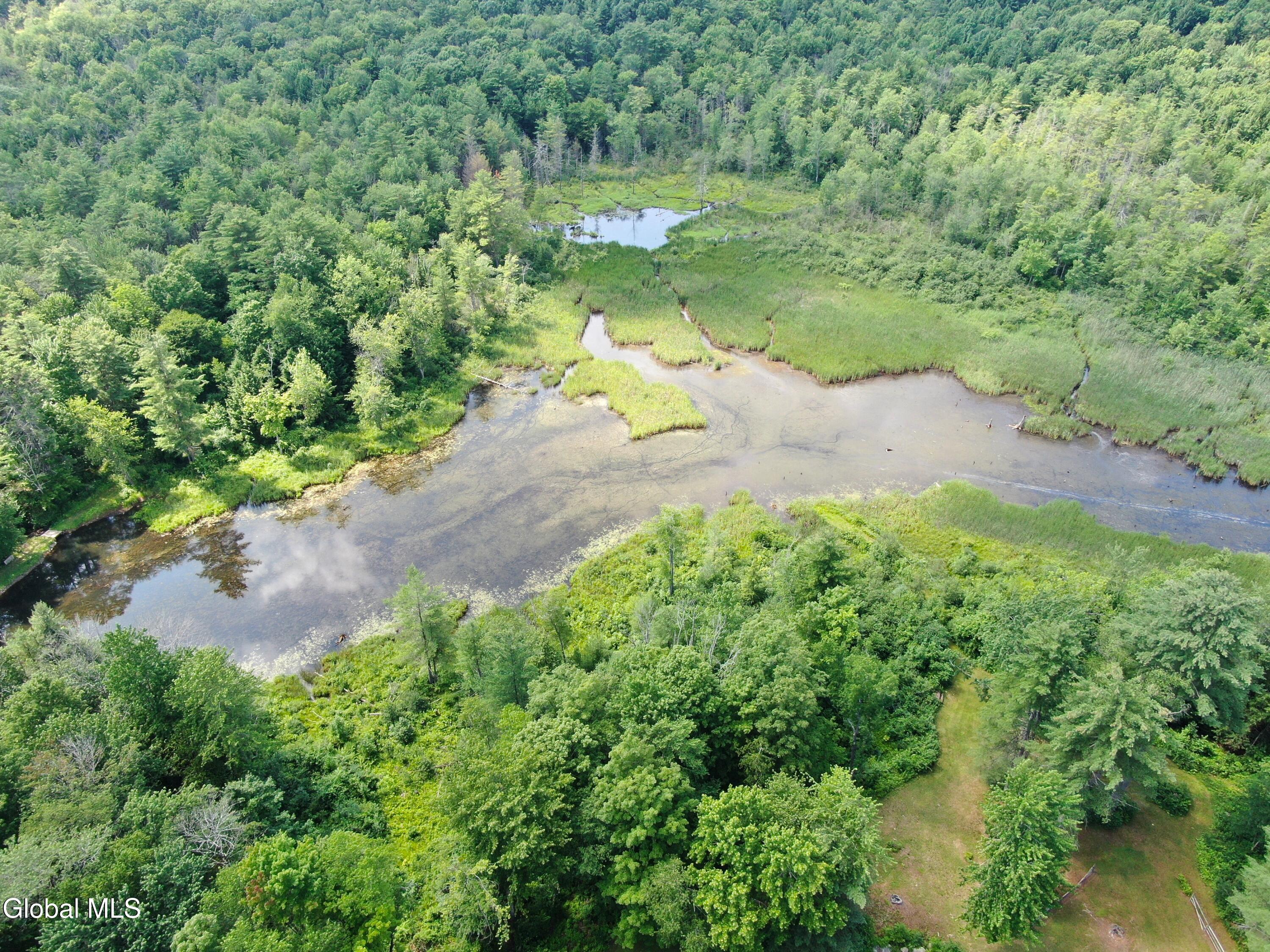 1979 Hermance Road Galway, NY 12074 - Photo 80 of 82 1979 drone d