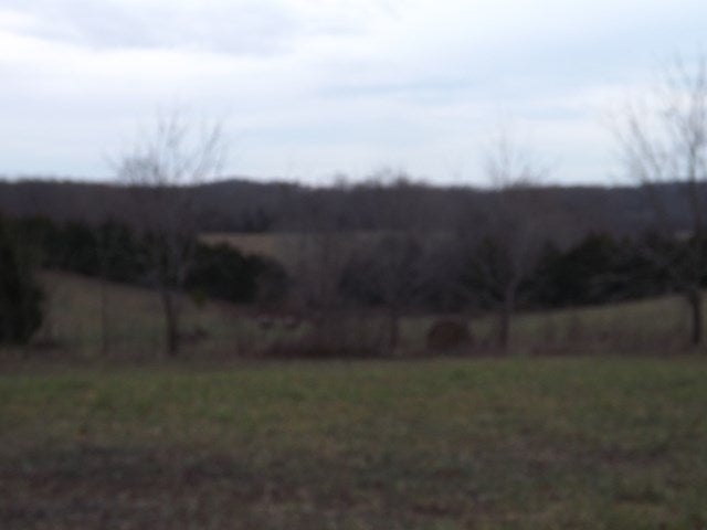 Ac Bartley Road Summer Shade, KY 42166 - Photo 23 of 28 Gallery Image 23