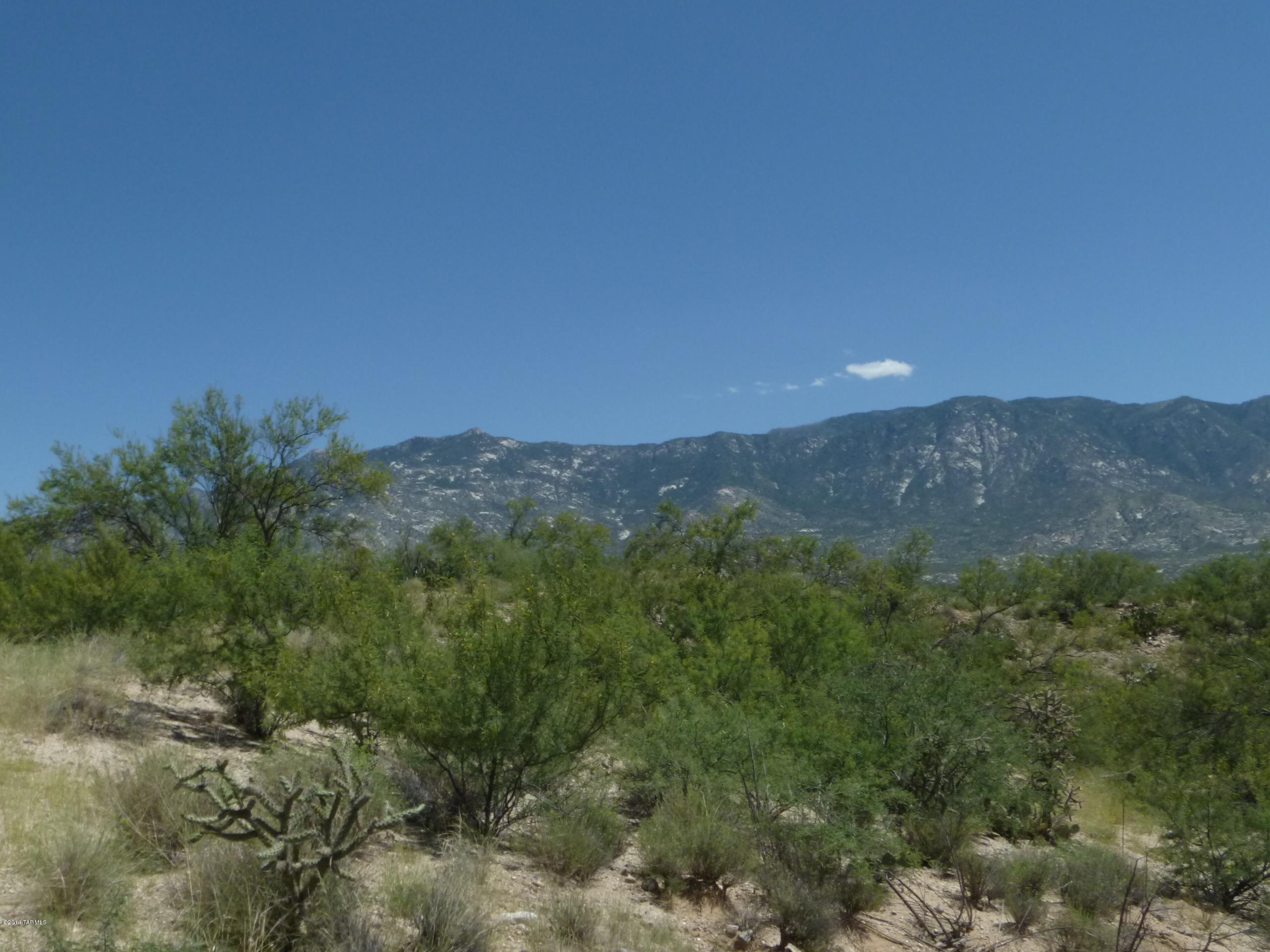 North Bowman Road Tucson, AZ 85739 - Photo 2 of 2