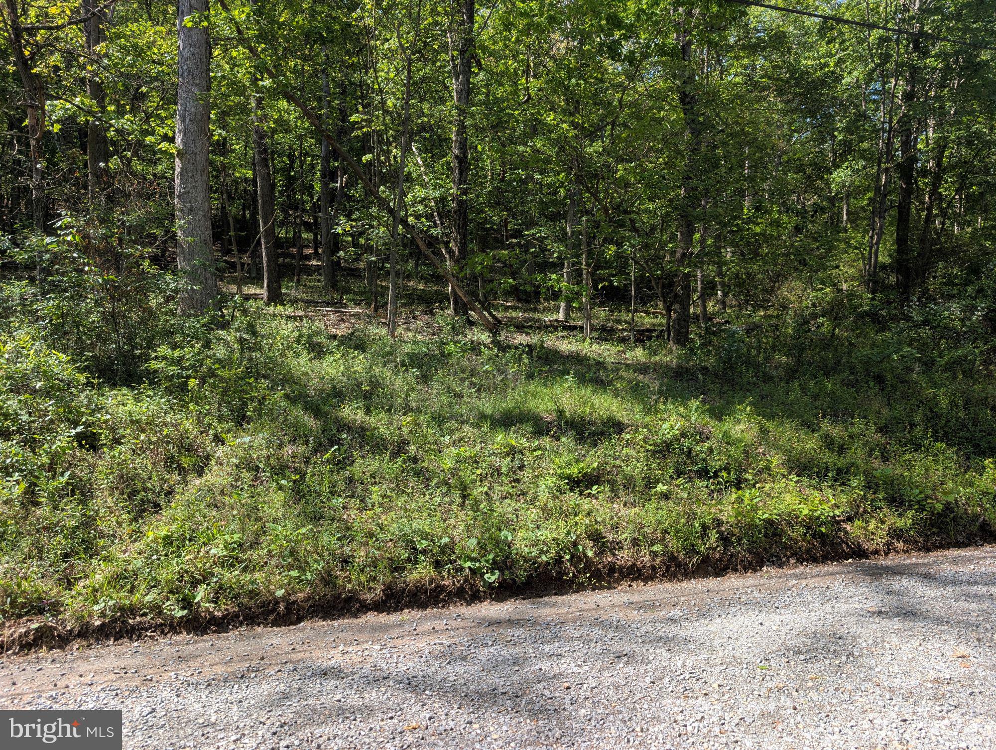 301 Bottom Road Great Cacapon, WV 25422 - Photo 3 of 11 a view of outdoor space and garden