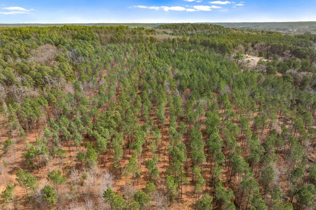 0 Fm-144 Daingerfield, TX 75638 - Photo 12 of 36