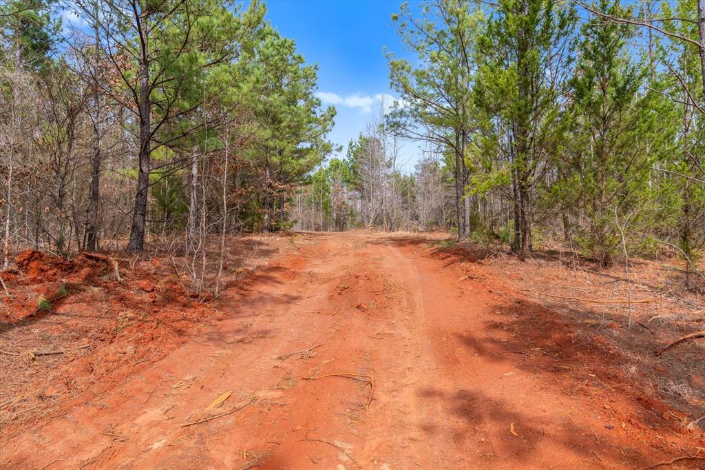 0 Fm-144 Daingerfield, TX 75638 - Photo 13 of 36