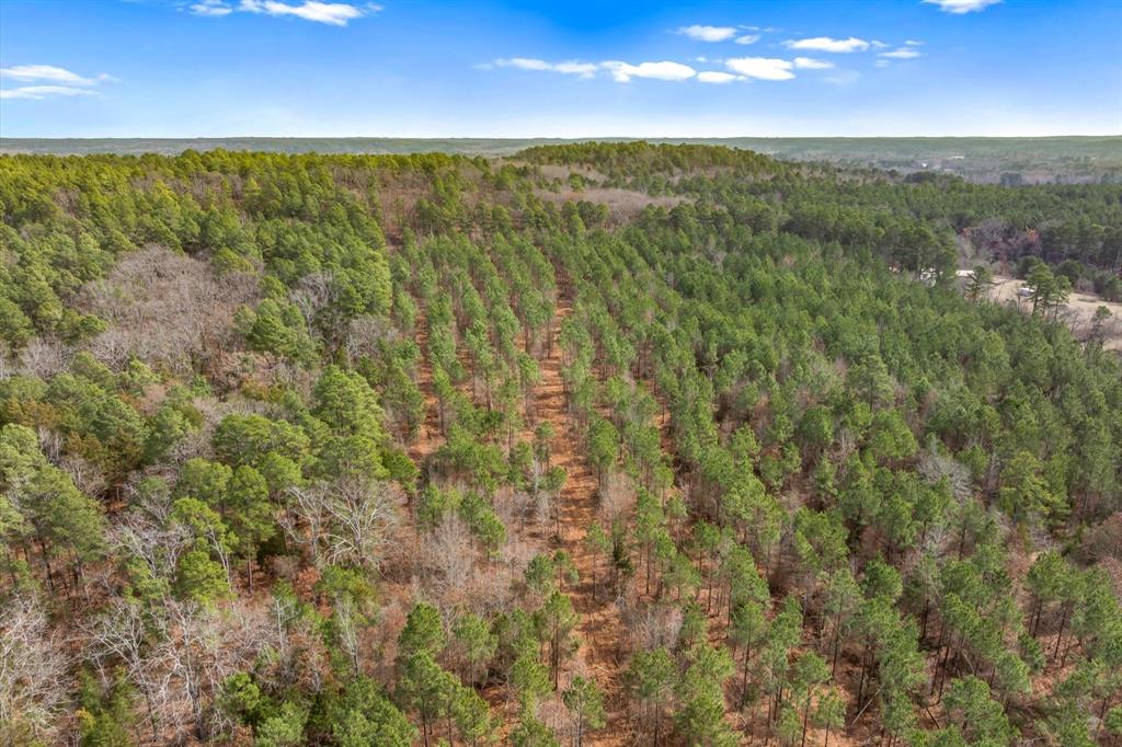 0 Fm-144 Daingerfield, TX 75638 - Photo 14 of 36