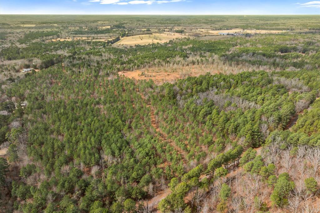 0 Fm-144 Daingerfield, TX 75638 - Photo 15 of 36