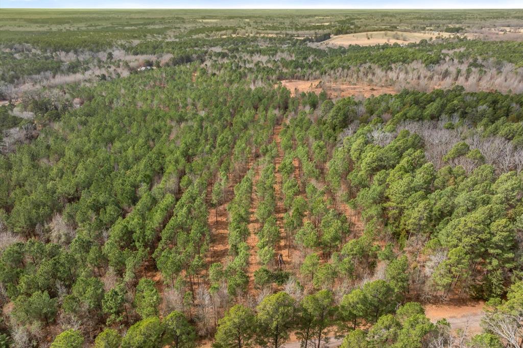 0 Fm-144 Daingerfield, TX 75638 - Photo 16 of 36