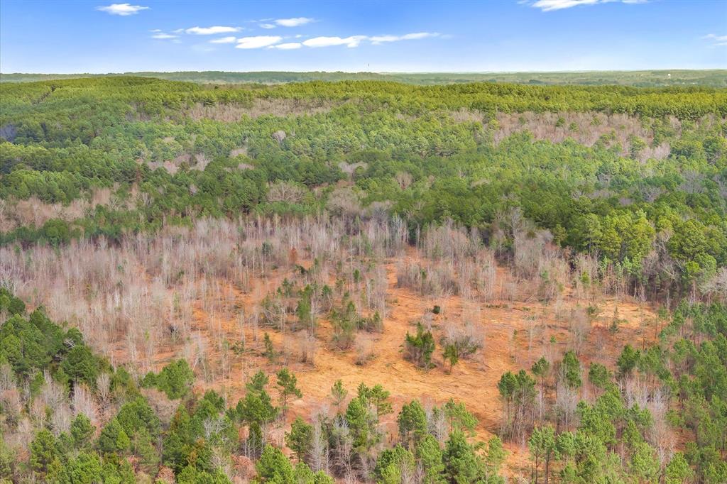 0 Fm-144 Daingerfield, TX 75638 - Photo 17 of 36