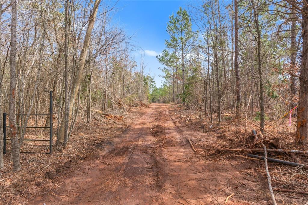 0 Fm-144 Daingerfield, TX 75638 - Photo 18 of 36