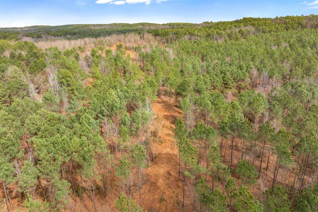 0 Fm-144 Daingerfield, TX 75638 - Photo 19 of 36