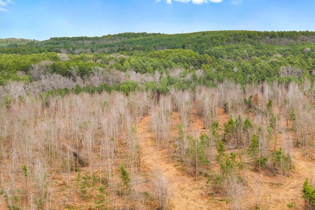 0 Fm-144 Daingerfield, TX 75638 - Photo 20 of 36