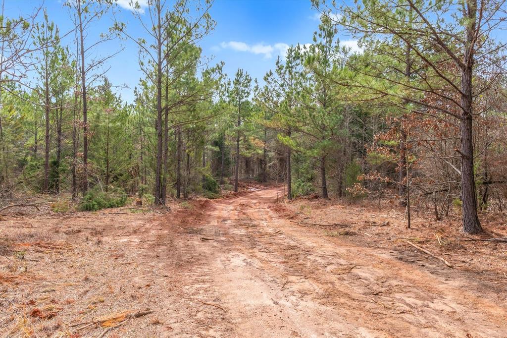 0 Fm-144 Daingerfield, TX 75638 - Photo 23 of 36