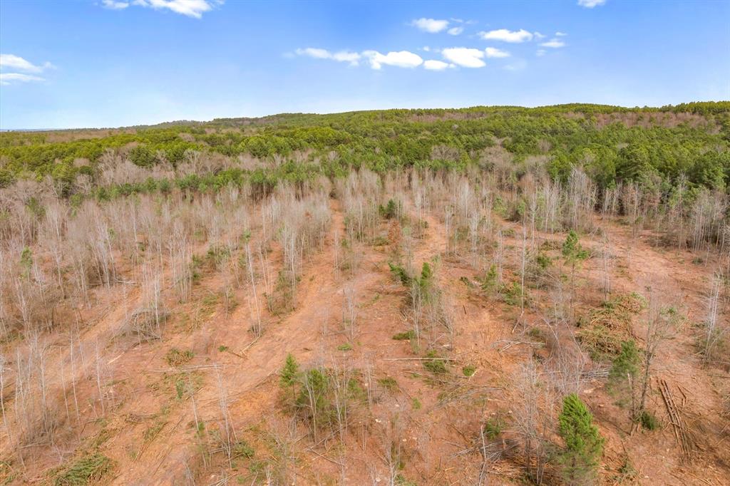 0 Fm-144 Daingerfield, TX 75638 - Photo 24 of 36