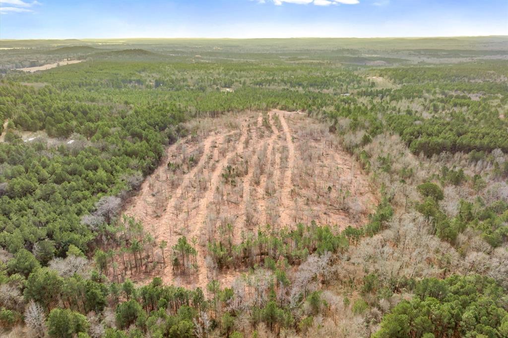 0 Fm-144 Daingerfield, TX 75638 - Photo 25 of 36