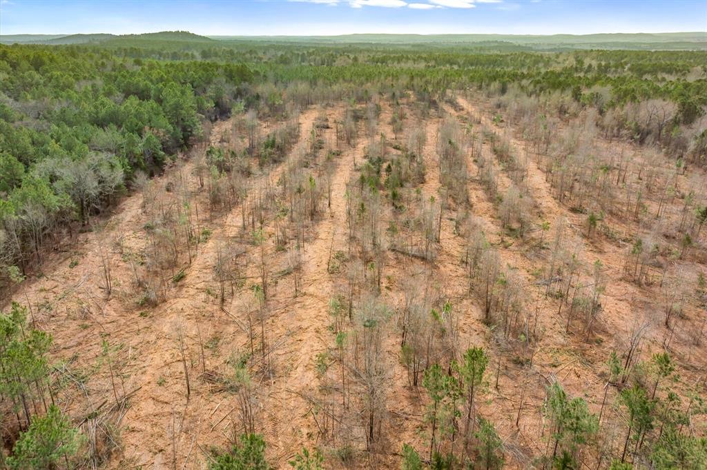 0 Fm-144 Daingerfield, TX 75638 - Photo 26 of 36