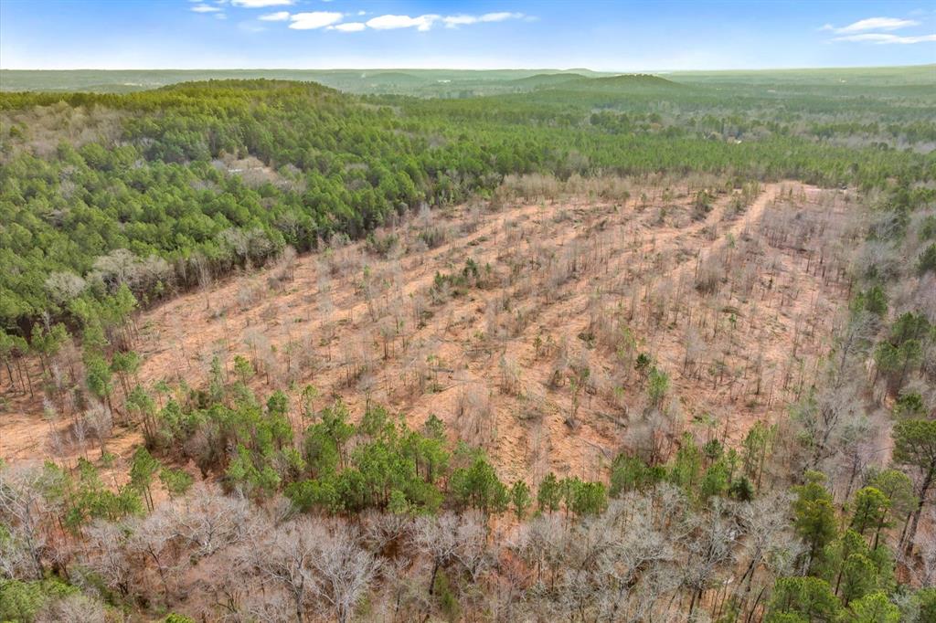 0 Fm-144 Daingerfield, TX 75638 - Photo 27 of 36