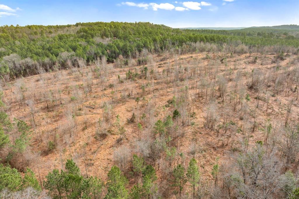 0 Fm-144 Daingerfield, TX 75638 - Photo 28 of 36