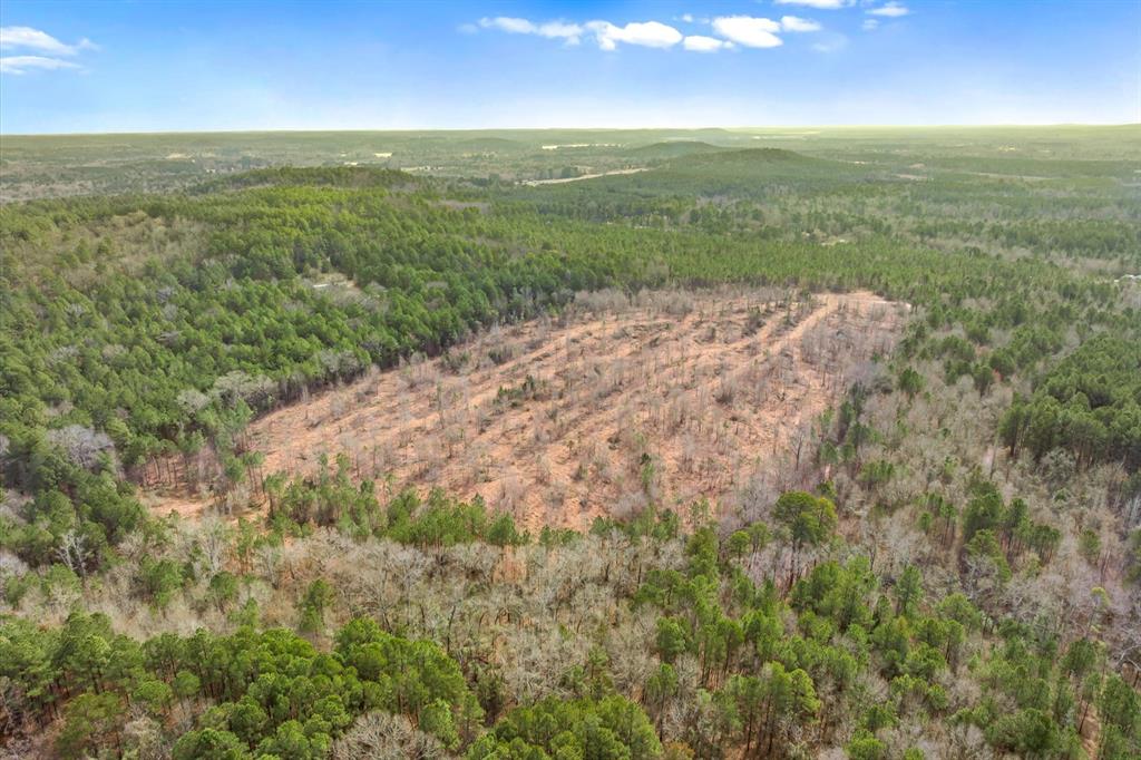 0 Fm-144 Daingerfield, TX 75638 - Photo 29 of 36