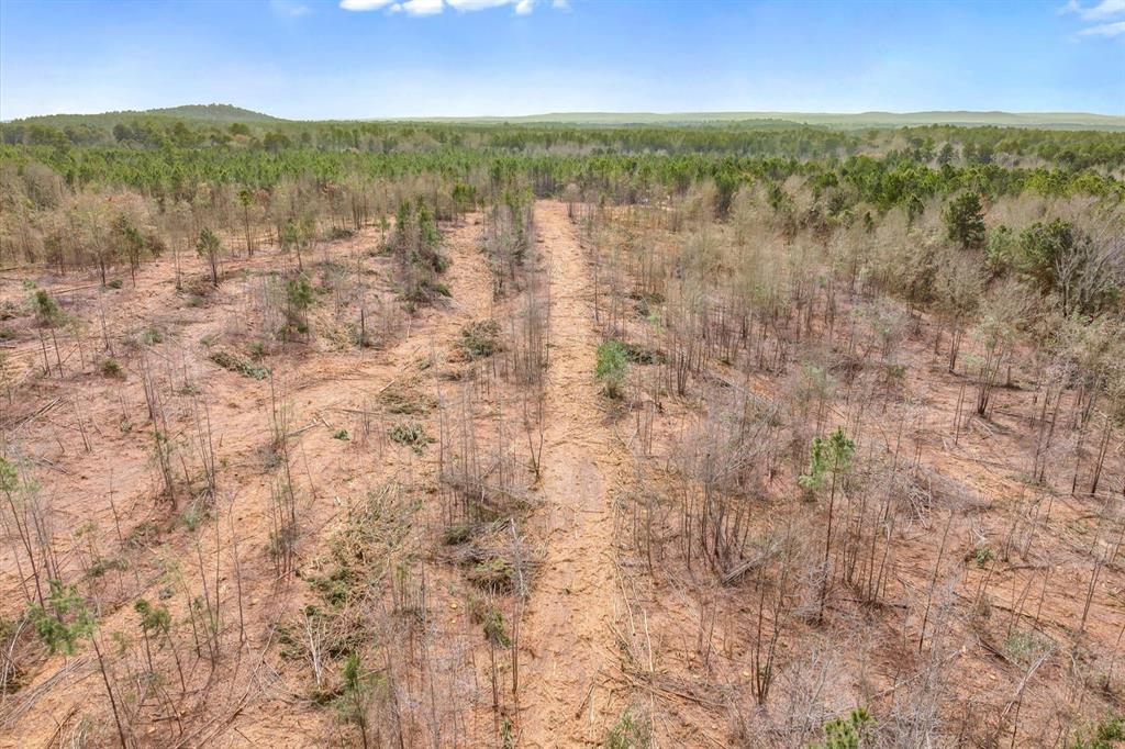 0 Fm-144 Daingerfield, TX 75638 - Photo 30 of 36