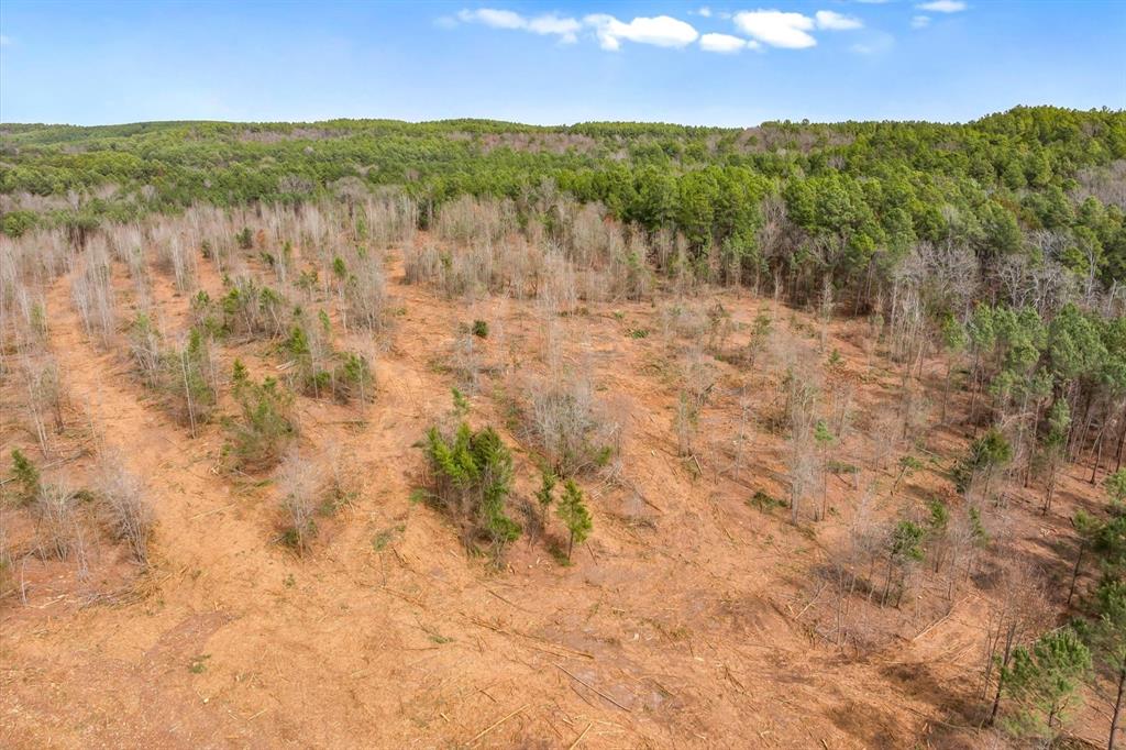 0 Fm-144 Daingerfield, TX 75638 - Photo 31 of 36