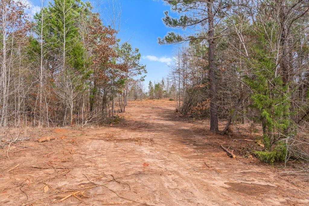 0 Fm-144 Daingerfield, TX 75638 - Photo 32 of 36