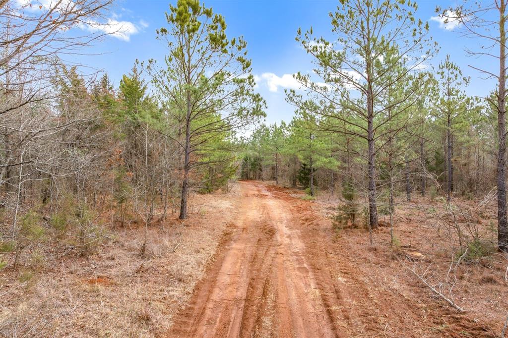 0 Fm-144 Daingerfield, TX 75638 - Photo 5 of 36