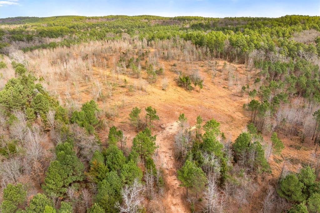 0 Fm-144 Daingerfield, TX 75638 - Photo 9 of 36