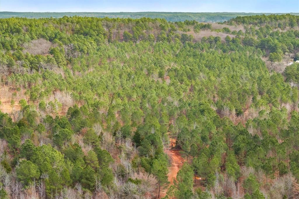 0 Fm-144 Daingerfield, TX 75638 - Photo 10 of 36