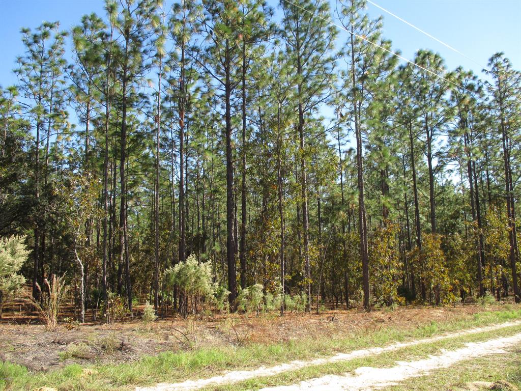 0 Southwest 127 Ave Road Dunnellon, FL 34432 - Photo 1 of 1 IMG_2248