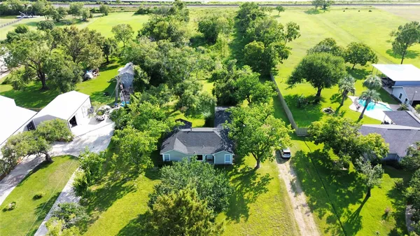 a view of a garden with plants