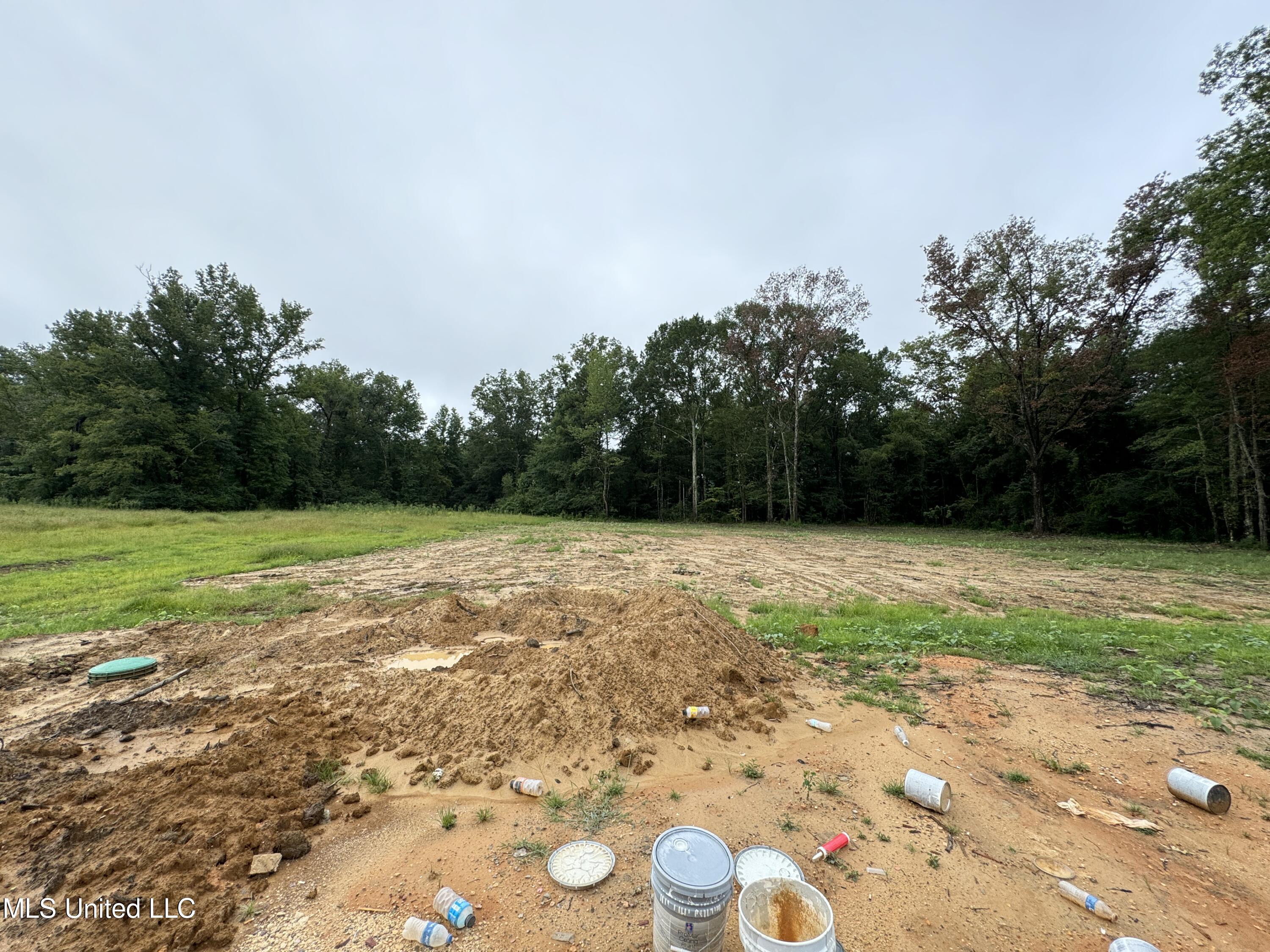 1037 Mullican Road Florence, MS 39073 - Photo 21 of 22 Photo Jul 27 2024, 8 49 14 AM