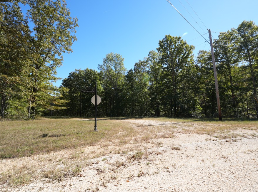 21 Three Rivers Drive Hurricane Mills, TN 37078 - Photo 6 of 6