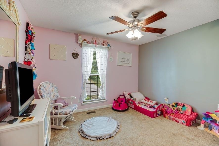 43 Mimosa Street Buchanan, GA 30113 - Photo 18 of 33 a living room with furniture and a flat screen tv