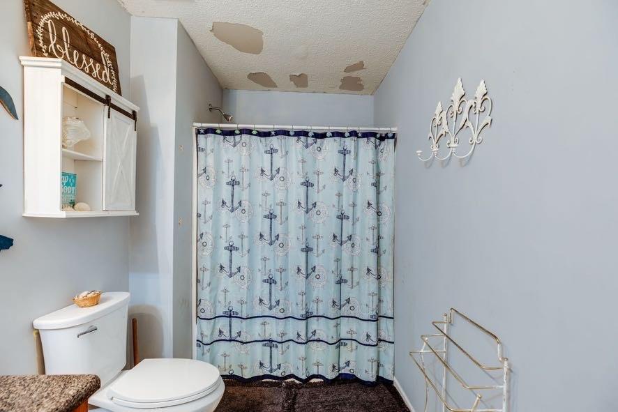 43 Mimosa Street Buchanan, GA 30113 - Photo 19 of 33 a bathroom with a toilet and a shower curtain