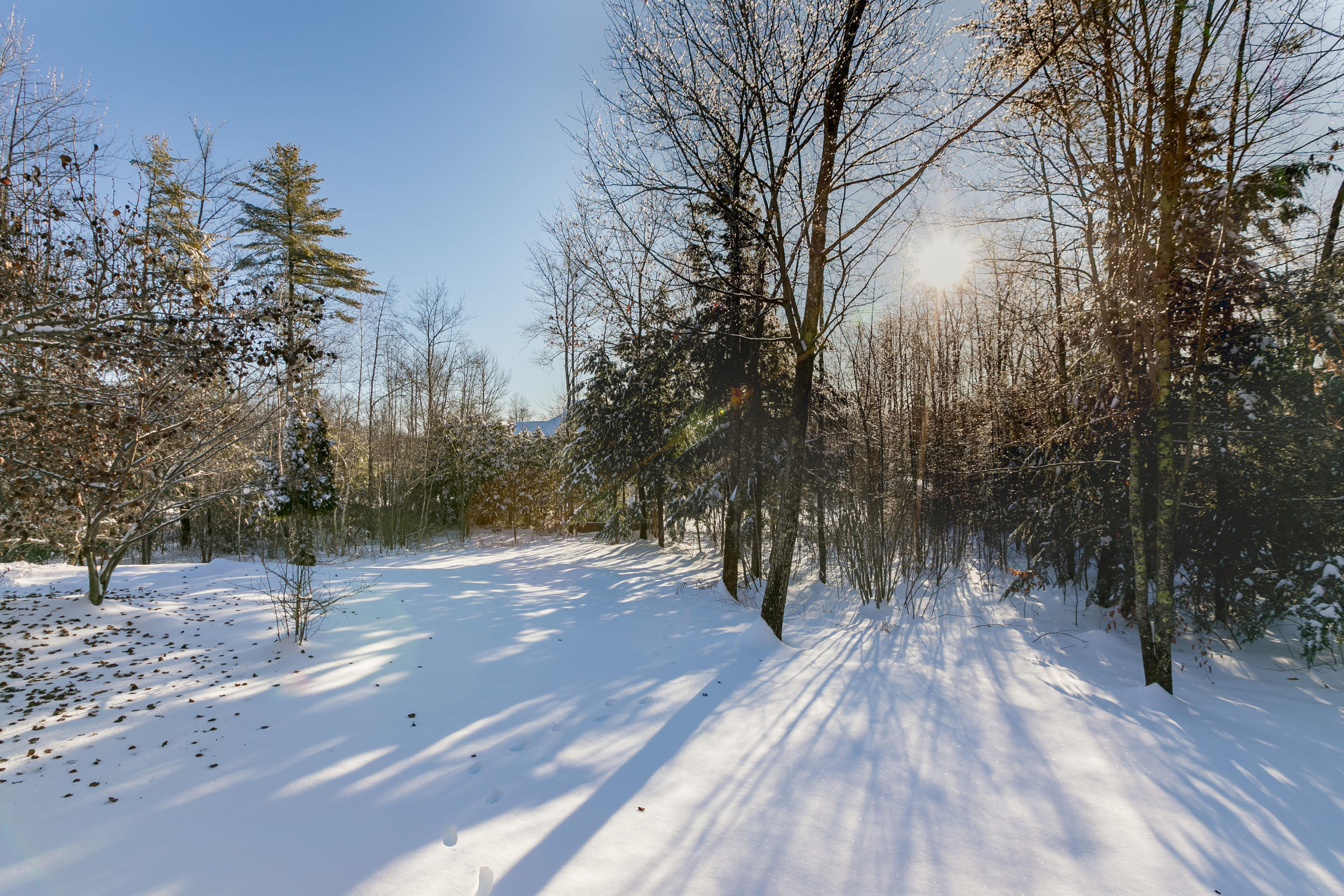15 Landmark Road Scarborough, ME 04074 - Photo 45 of 45 Back Yard